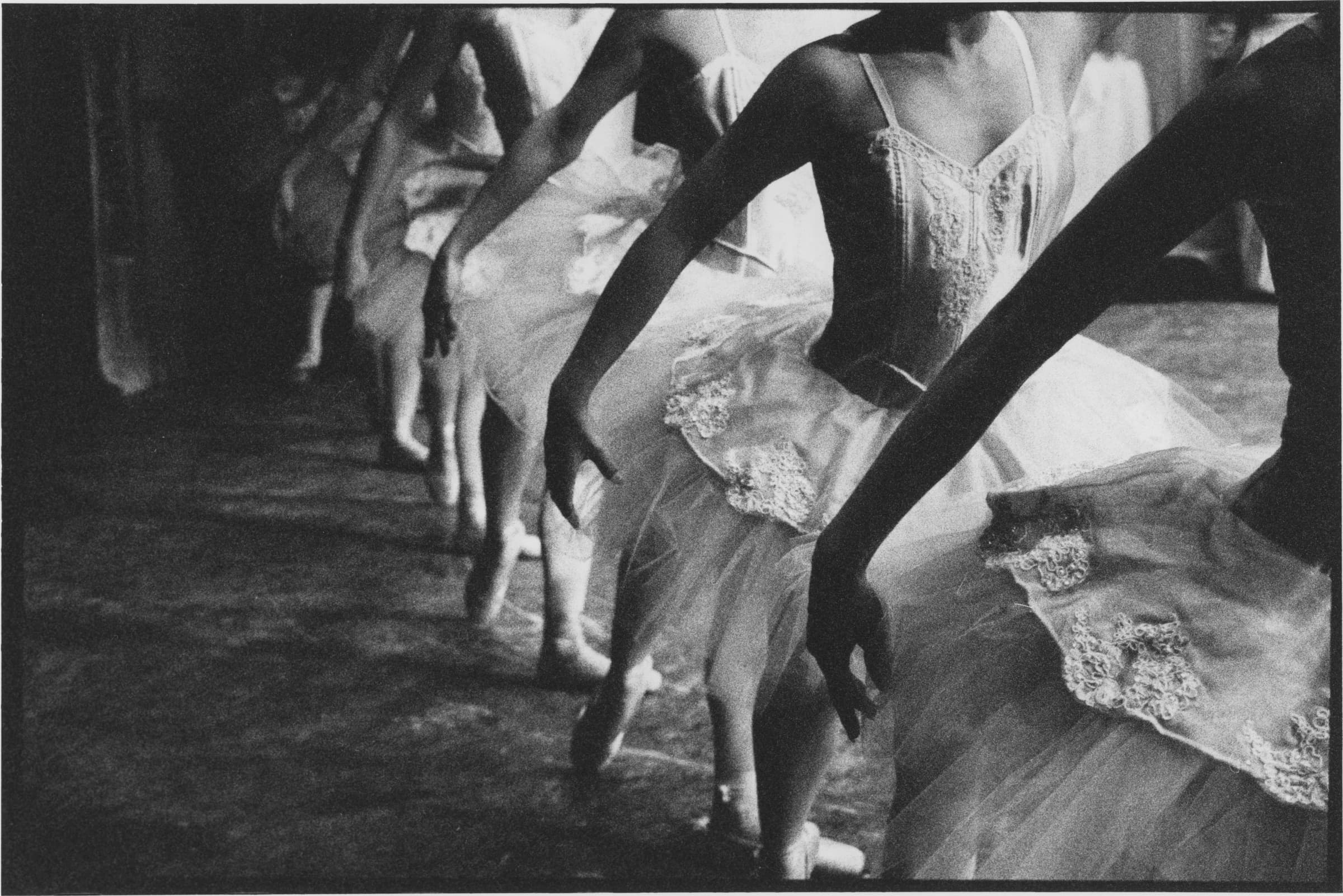 A corps de ballet bowing in a receding line, arms sweeping down across their tutus. Ballet dancers in a row. Black and white ballet photograph, Sleeping Beauty corps dancers.
